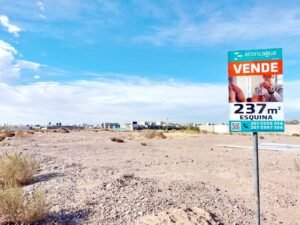 Vista Cartel