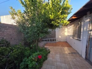 Vista Patio