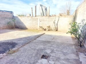Vista jardín