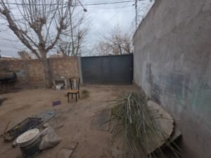 Vista Patio / Entrada de vehículos