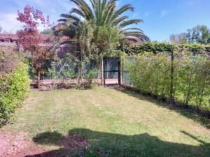 Otra vista jardín