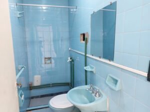Vista baño 1