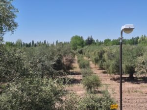 Vista general finca