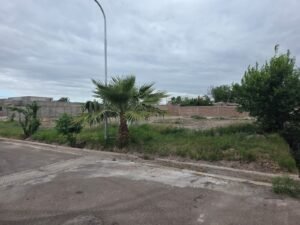 Vista Entorno