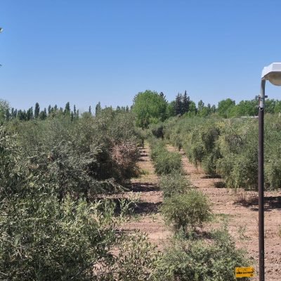 Vista general finca